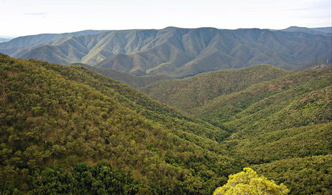 Budds Mare To Riverside Walking Track - Holiday Find 0