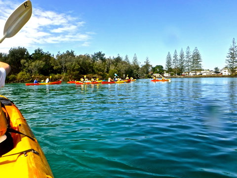 Byron Bay River Nature Kayak Tour - Holiday Find 0
