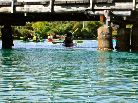 Byron Bay River Nature Kayak Tour - Holiday Find 1