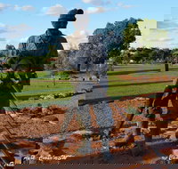 Cobar Miners Heritage Park - Holiday Find