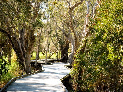Eagleby Wetlands - Holiday Find 1