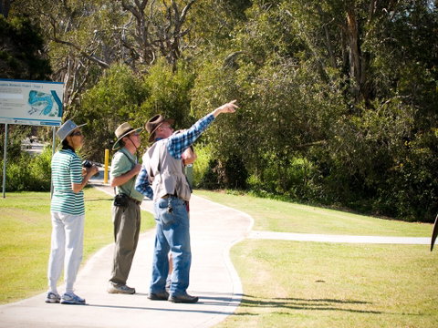 Eagleby Wetlands - Holiday Find 2