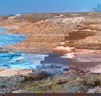 Eagle Gorge - Holiday Find