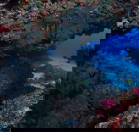 Hutchinson Shoal Dive Site