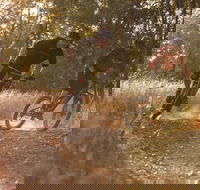 Kholo Gardens Trails - Holiday Find