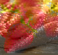 Lambs Valley - Holiday Find