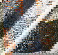 Lighthouse View - Holiday Find