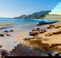 Lobster Beach - Holiday Find