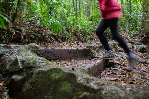 Maiala - Holiday Find 0