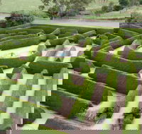 Mintaro Maze - Holiday Find
