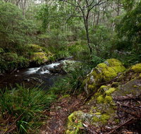 Mongarlowe River picnic area - Holiday Find