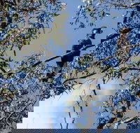 Mummel Gulf National Park - Holiday Find