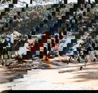 Myponga Reservoir Trail - Holiday Find