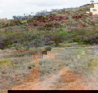 Original Glen Helen Homestead - Holiday Find