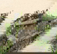 Pebbly Beach to Snake Bay walking track - Holiday Find