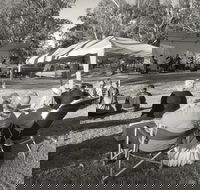 Pioneer Park - Holiday Find