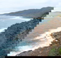 Pretty Beach to Snapper Point Walking Track - Holiday Find