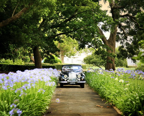Queens Park, Toowoomba - Holiday Find 2