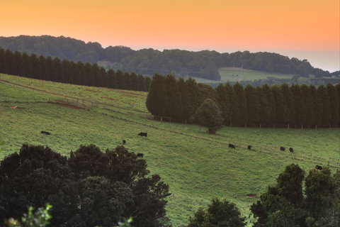 Robertson Heritage Railway Station - Holiday Find 2