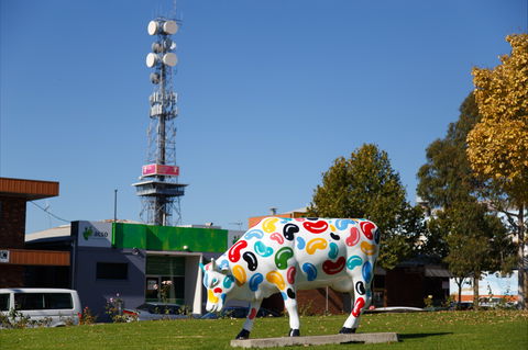 Shepparton Tower - Holiday Find 1