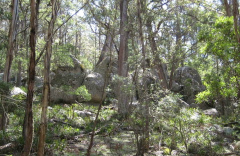 Tallaganda National Park - Holiday Find 0