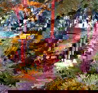 The Fernery at Diamond Waters - Holiday Find