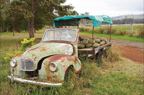 The Burnett Circle - Holiday Find 1