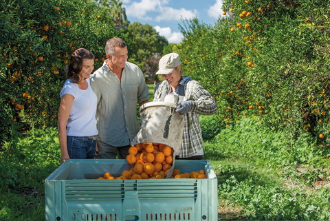 The Burnett Circle - Holiday Find 2