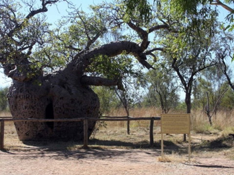 Time Walk, Windjana Gorge National Park - Holiday Find 2