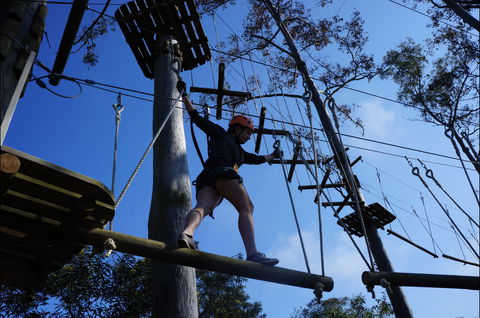 Trees Adventure Nowra Park - Holiday Find 0