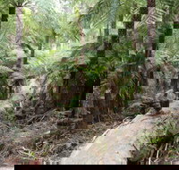 Upper Yarra Reservoir Park - Holiday Find