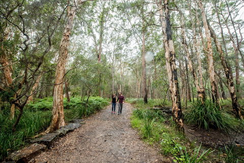 Venman Bushland National Park - Holiday Find 0
