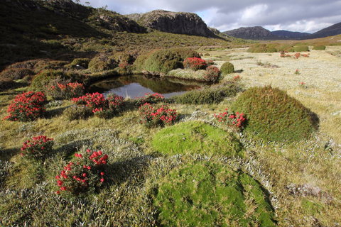 Walls Of Jerusalem National Park - Holiday Find 1