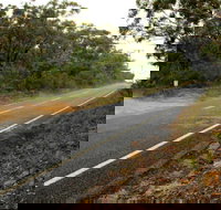 Warrah Trig cycling loop - Holiday Find