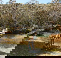 Wild Valley Art Park - Holiday Find