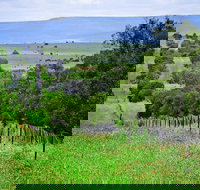 Wild Dog Barrier Fence