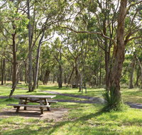 Wollomombi Gorge and Falls Picnic Area - Holiday Find