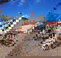 Wowan - Holiday Find