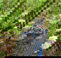Yarra Ranges National Park - Holiday Find