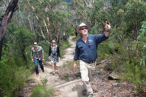 Small-Group Blue Mountains Tour With Bush Walks And Featherdale Wildlife Park - Holiday Find 3