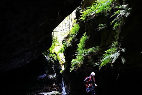 Full-Day Canyoning Experience At Stunning Empress Canyon - Holiday Find 6