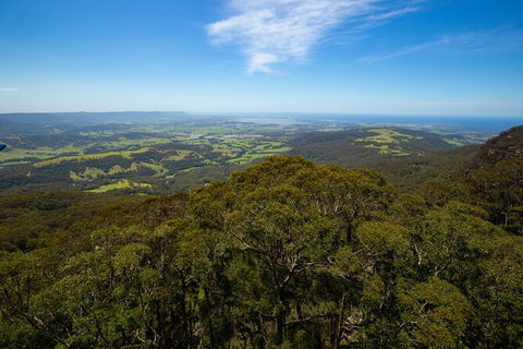 Illawarra Fly Treetop Adventures Treetop Walk Admission Ticket - Holiday Find 6