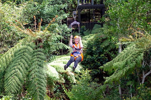 Illawarra Fly Treetop Adventures Treetop Walk Admission Ticket - Holiday Find 2