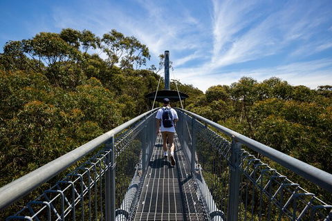 Illawarra Fly Treetop Adventures Treetop Walk Admission Ticket - Holiday Find 0