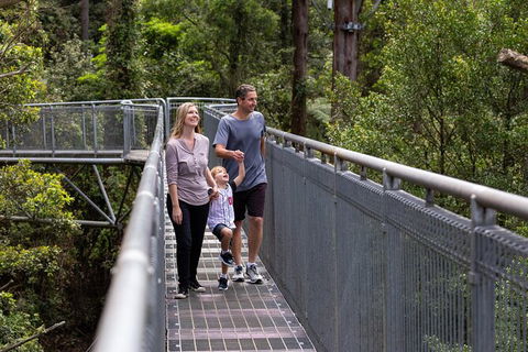 Illawarra Fly Treetop Adventures Treetop Walk Admission Ticket - Holiday Find 1