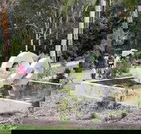 Maroochy Regional Bushland Botanic Garden - Holiday Find