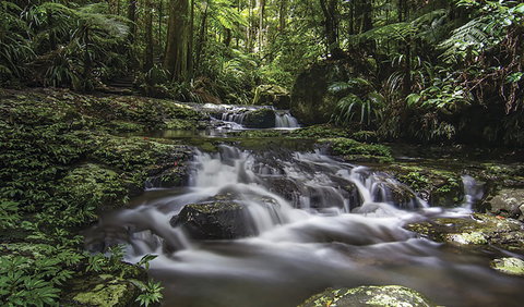 Protesters Falls Walking Track - Holiday Find 0