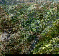 Tiara Walking Track - Holiday Find