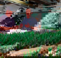 A Taste Of Norfolk - Holiday Find