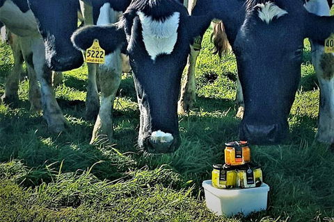 Artisan Cheese Tastings And Sales - Holiday Find 11